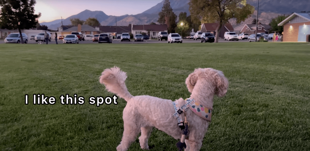 Late night walkie at Orem Community&nbsp;Park