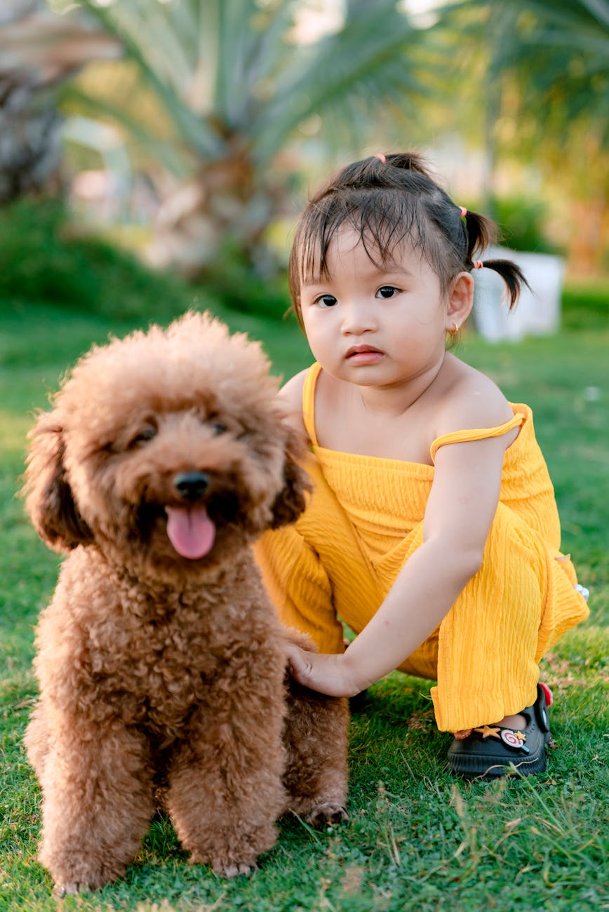 The Best Dog Breeds for Families with Kids: Finding Your Perfect Canine Companion