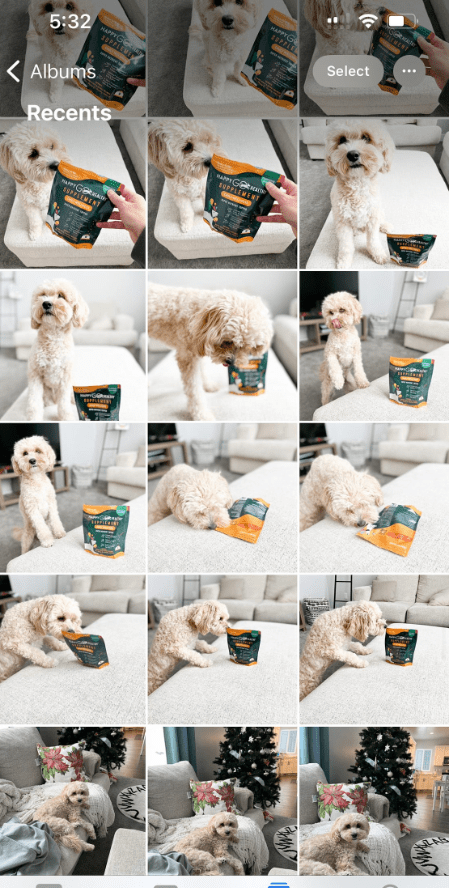 How to organize the 100000s of photos of your dog on your&nbsp;phone