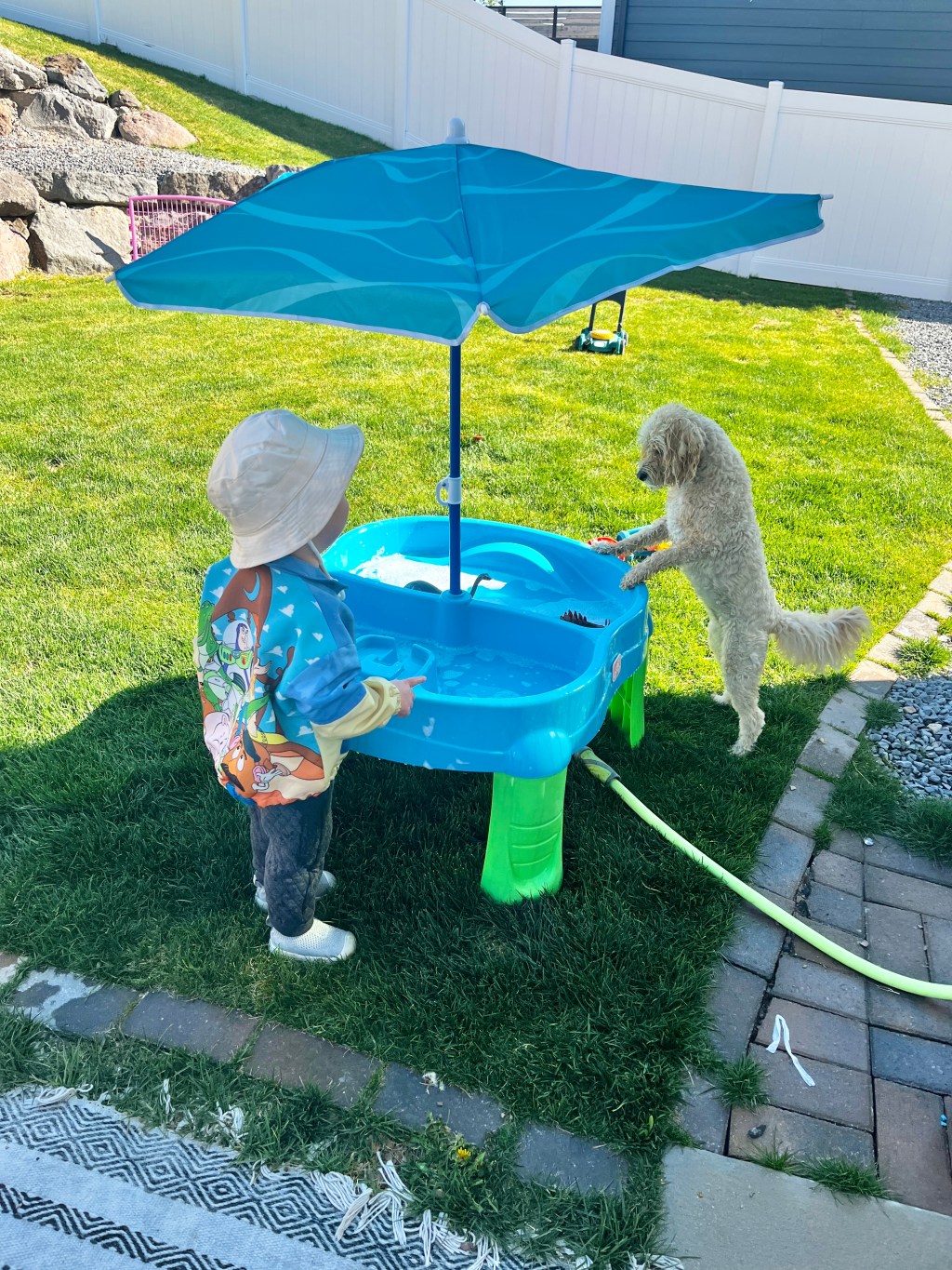 Best summer activities for toddlers and&nbsp;dogs